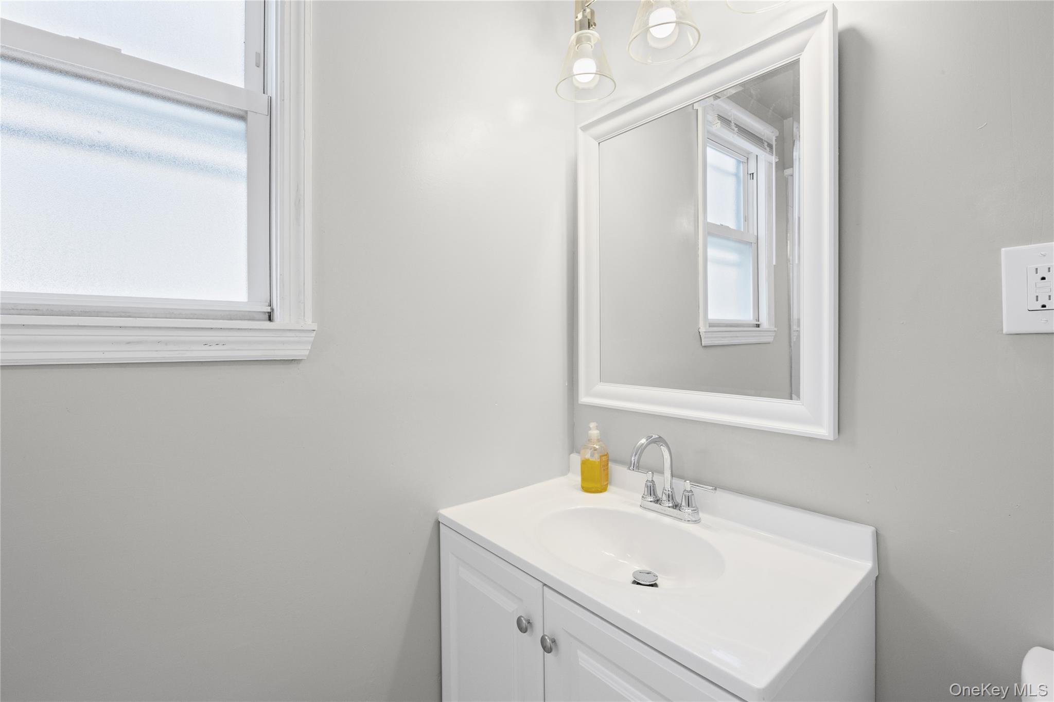 Single Family Cherry Avenue Nassau County, NY 11714, MLS-1041667-24