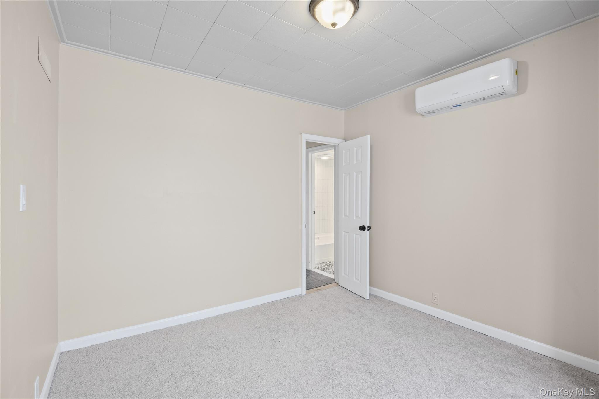 Single Family Cherry Avenue Nassau County, NY 11714, MLS-1041667-27