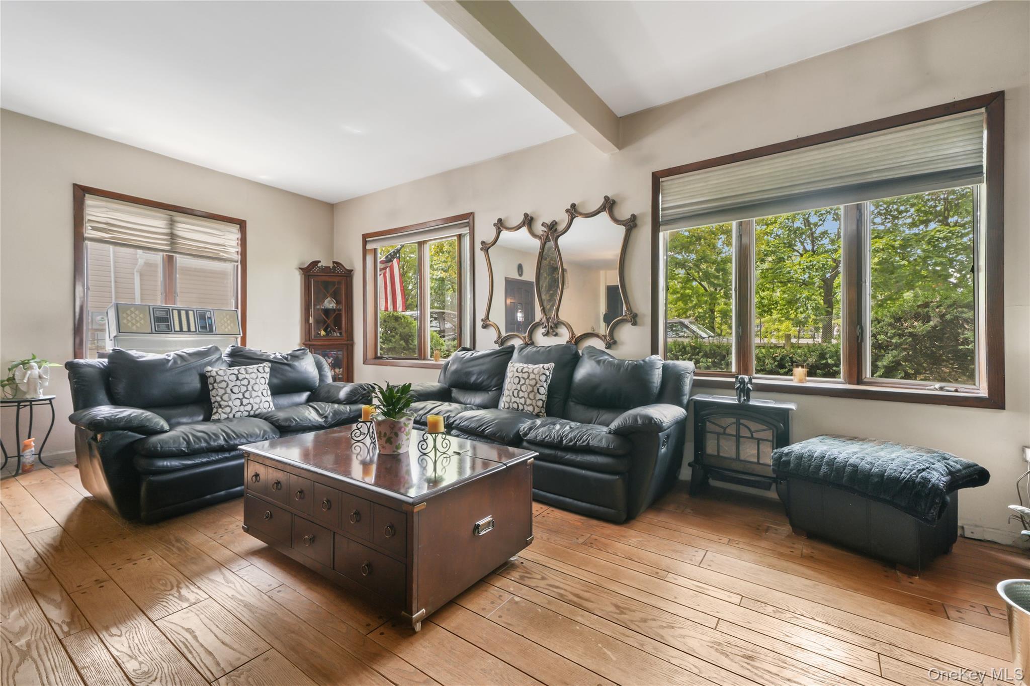 Single Family Throggs Neck Expressway Bronx, NY 10465, MLS-1041683-6