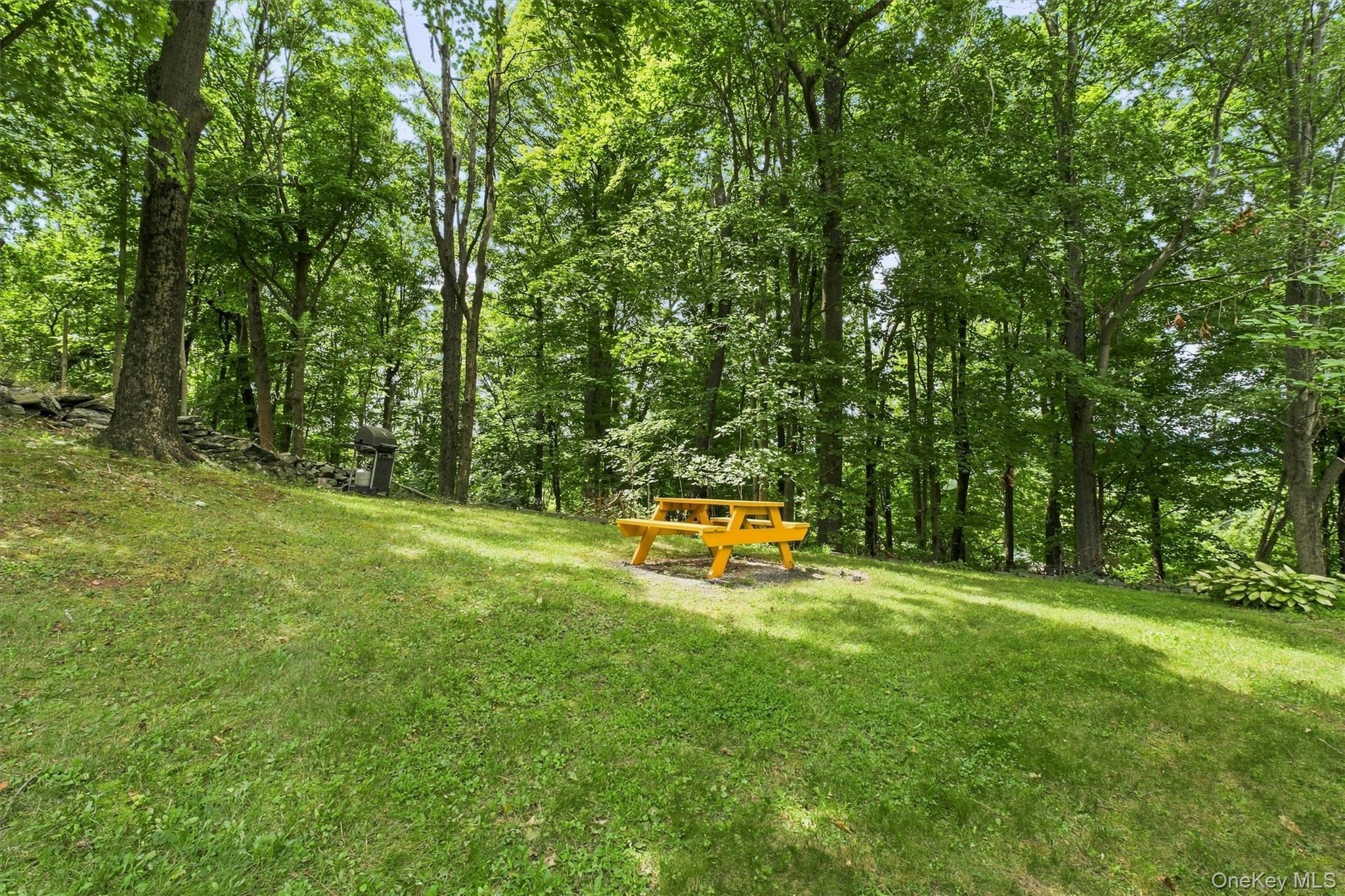Single Family Chaucer Road  Dutchess County, NY 12580, MLS-1041708-42