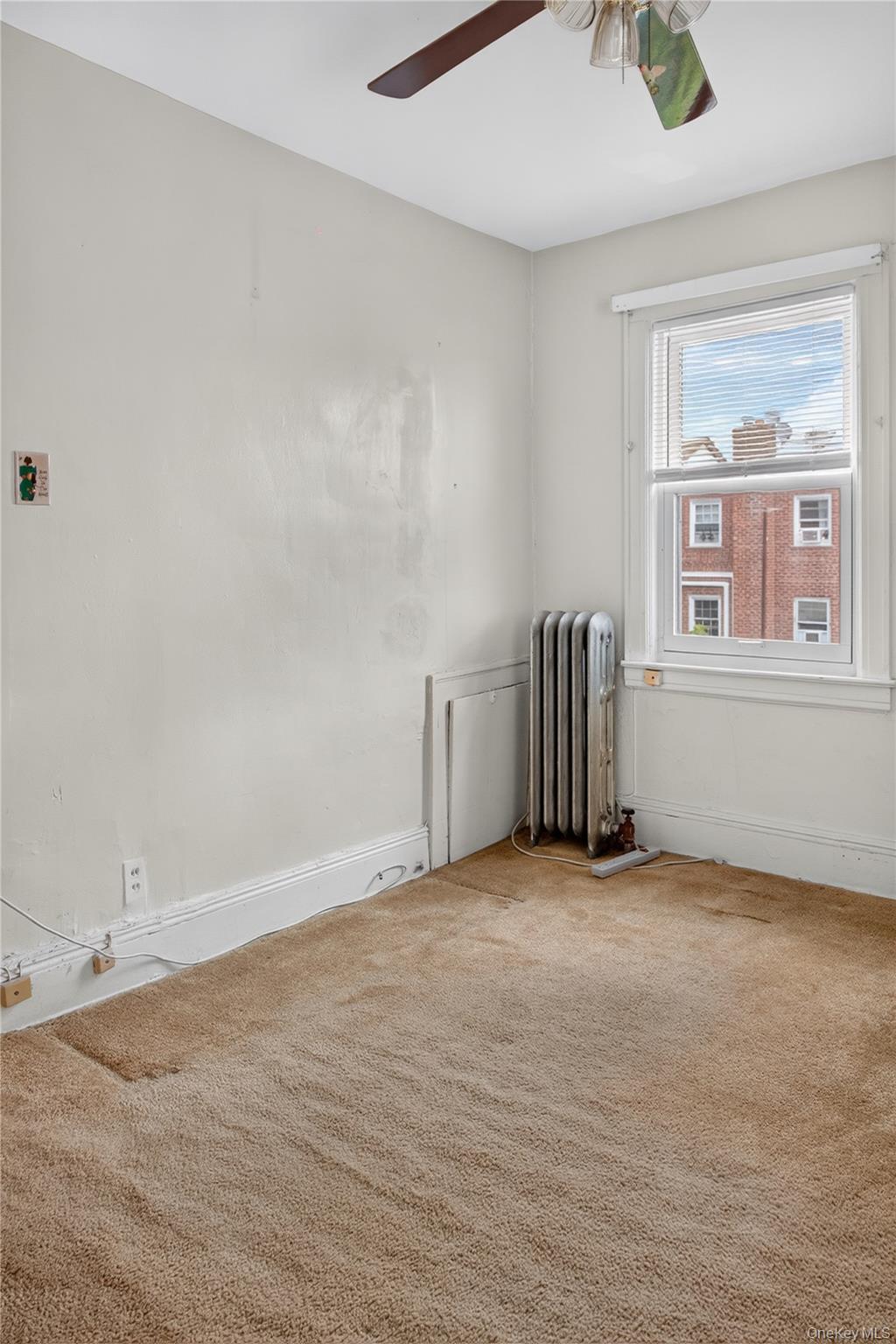 Single Family E 38th Street Brooklyn, NY 11203, MLS-1041748-16