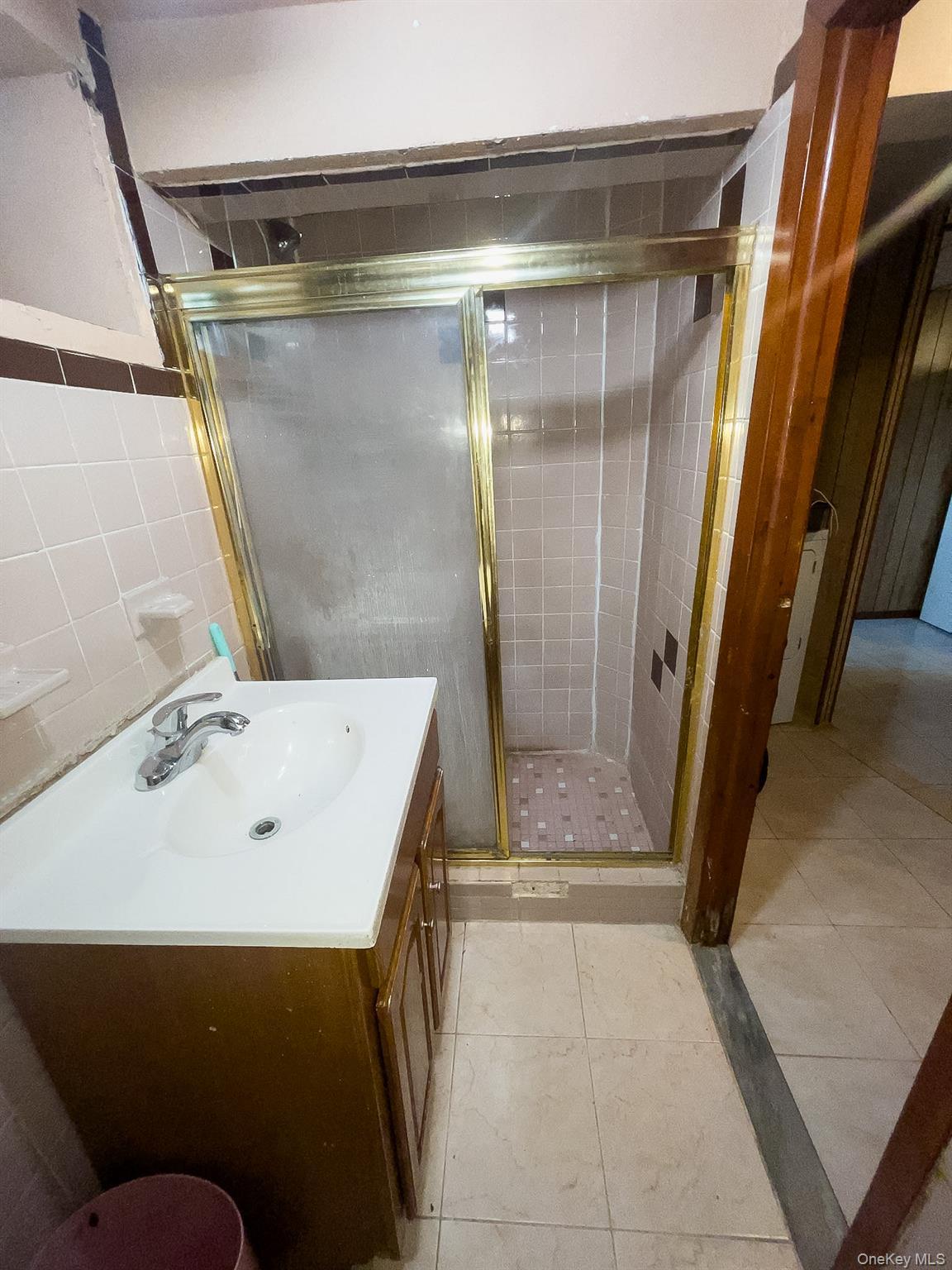 Single Family E 38th Street  Brooklyn, NY 11203, MLS-1041748-19