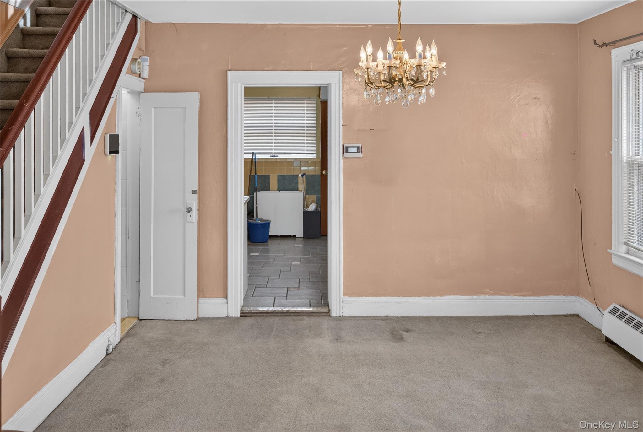 Single Family E 38th Street Brooklyn, NY 11203, MLS-1041748-4
