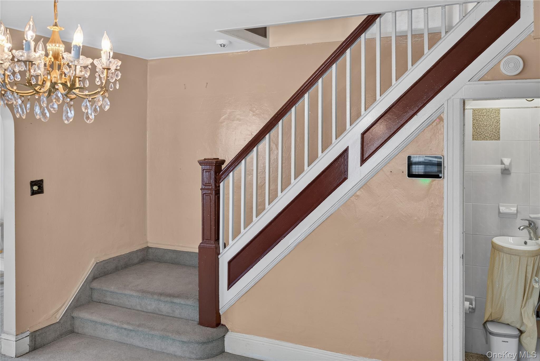 Single Family E 38th Street Brooklyn, NY 11203, MLS-1041748-6