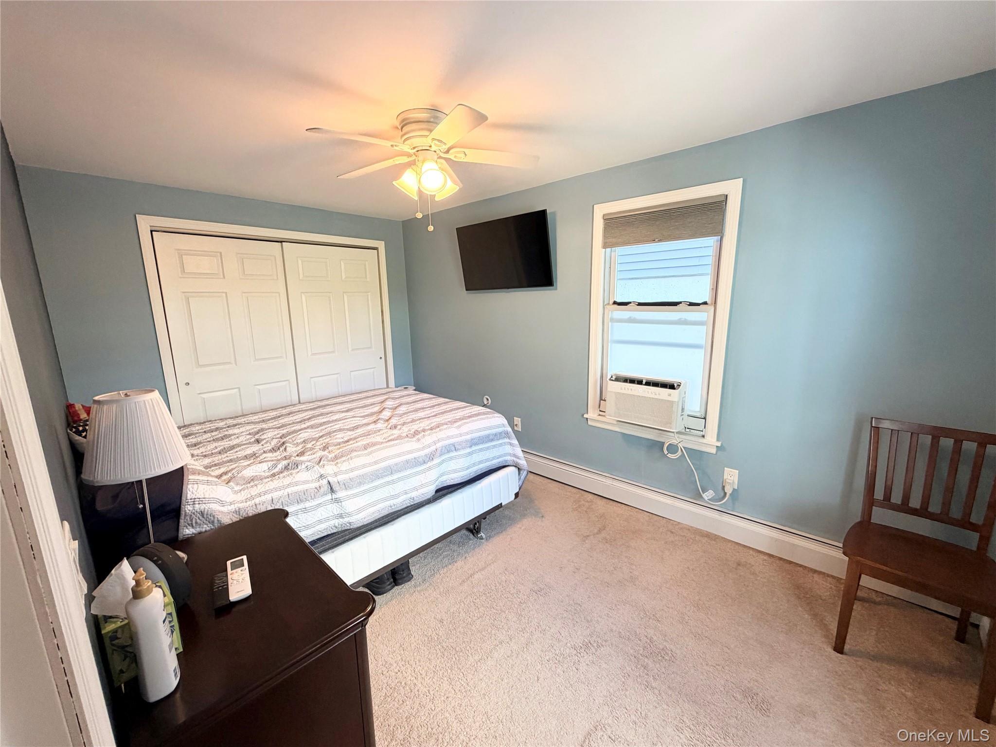 Single Family Michigan Street Nassau County, NY 11561, MLS-1041751-8