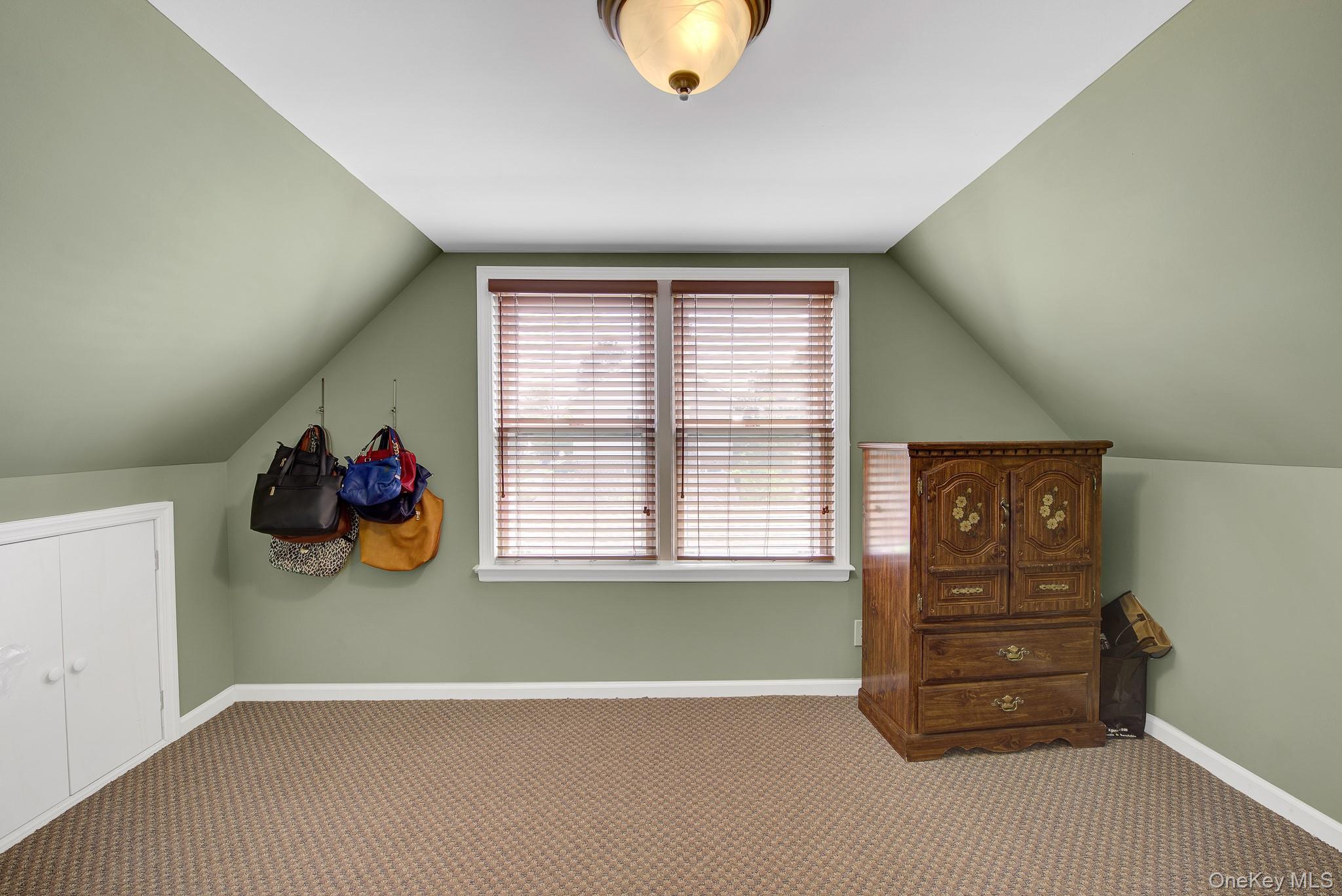 Single Family Saint Agnes Place Nassau County, NY 11010, MLS-1041791-15