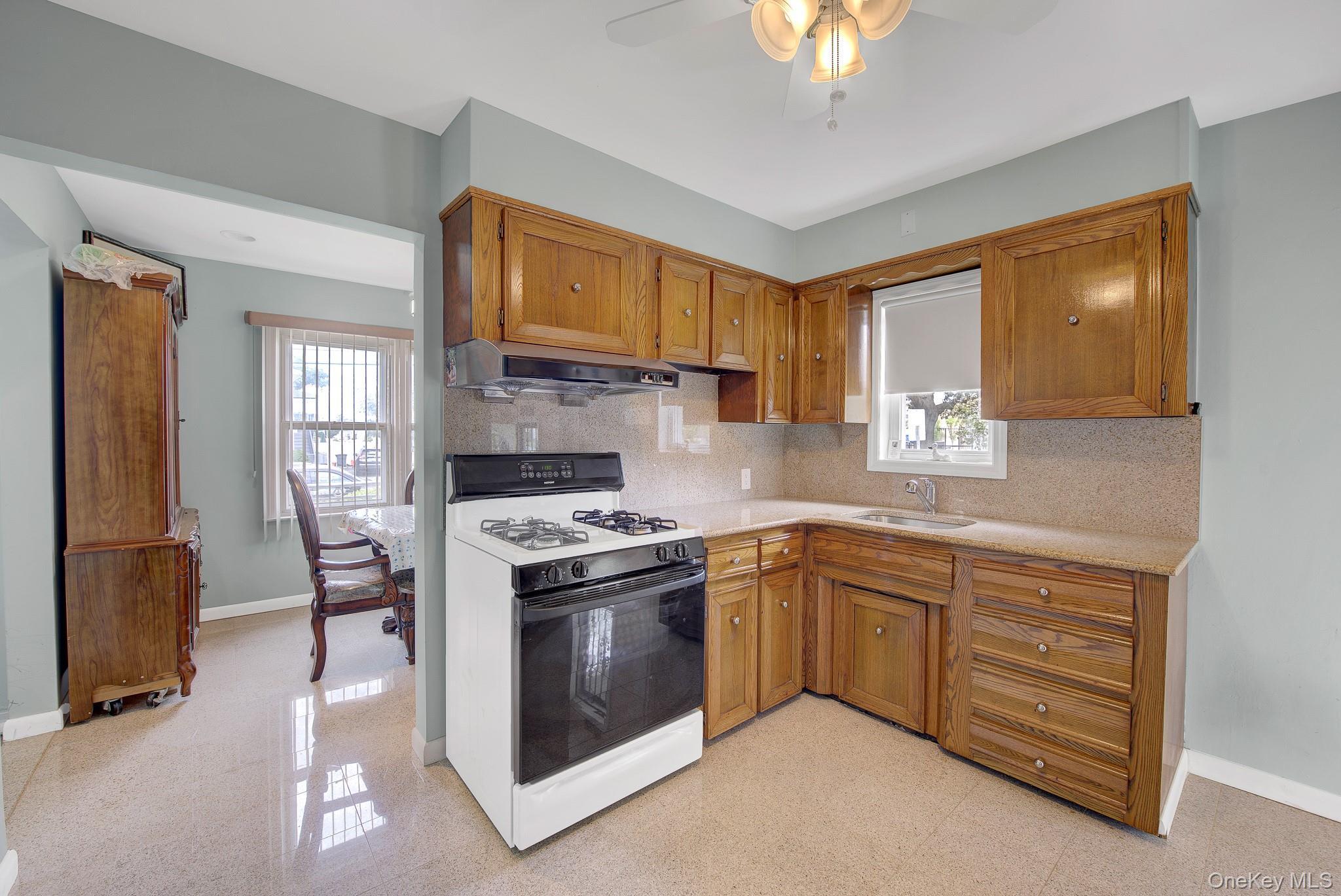Single Family Saint Agnes Place Nassau County, NY 11010, MLS-1041791-19