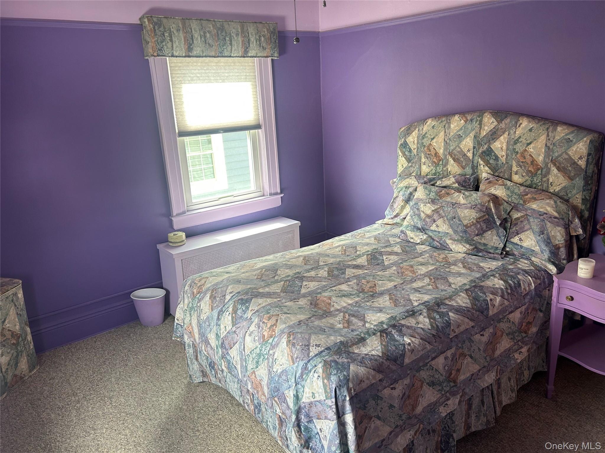 Single Family Springfield Boulevard Queens, NY 11428, MLS-1041818-11