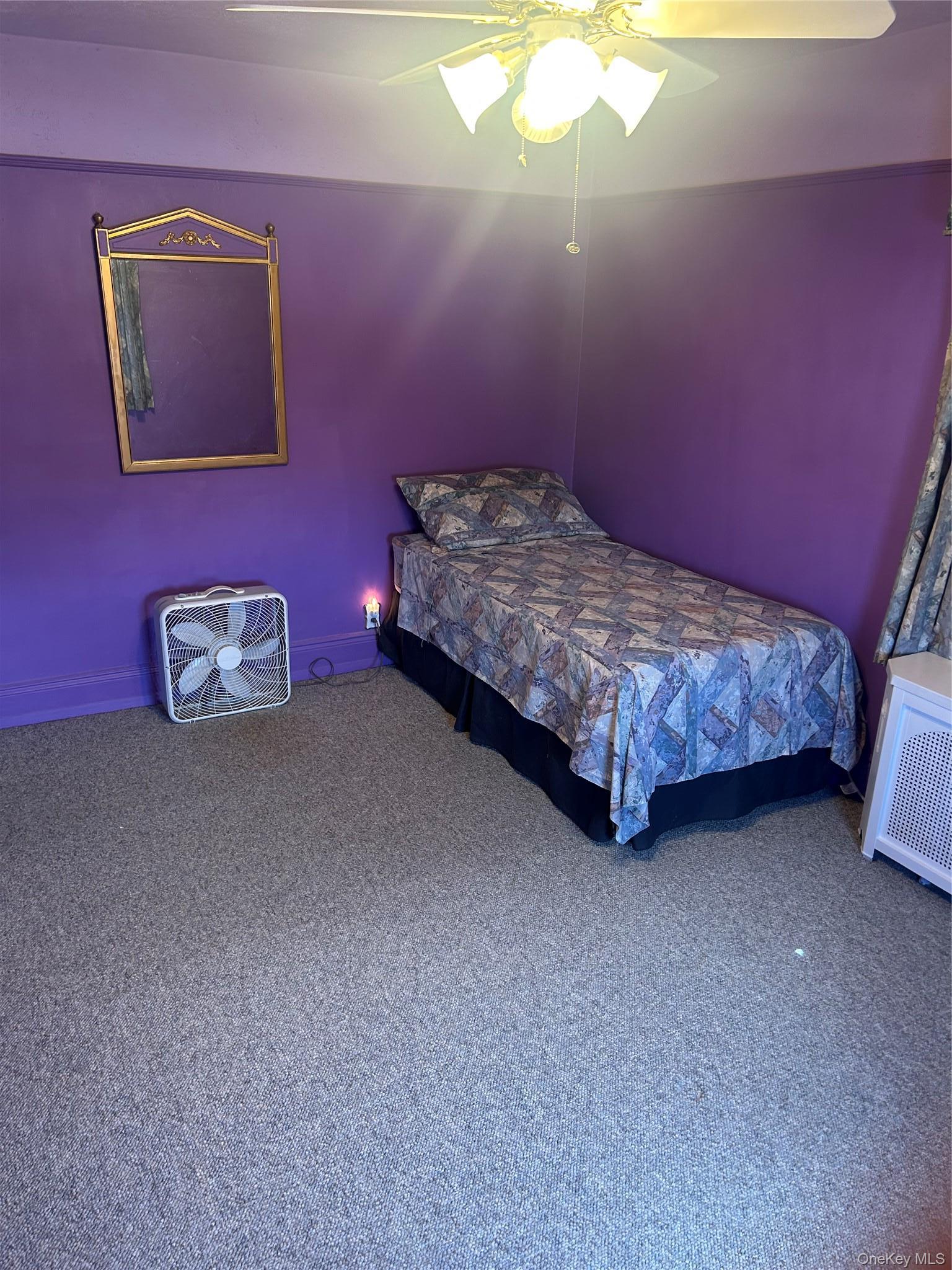 Single Family Springfield Boulevard Queens, NY 11428, MLS-1041818-13