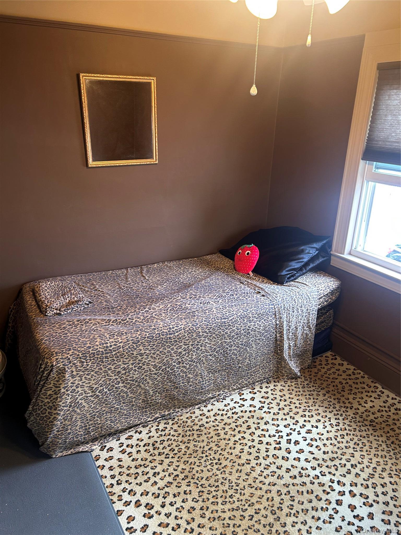 Single Family Springfield Boulevard Queens, NY 11428, MLS-1041818-3