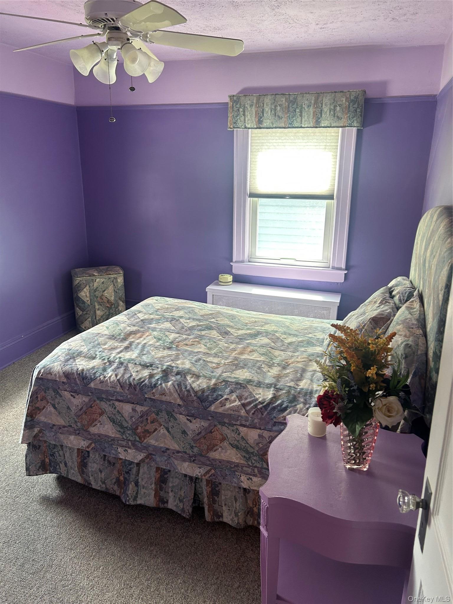 Single Family Springfield Boulevard Queens, NY 11428, MLS-1041818-6