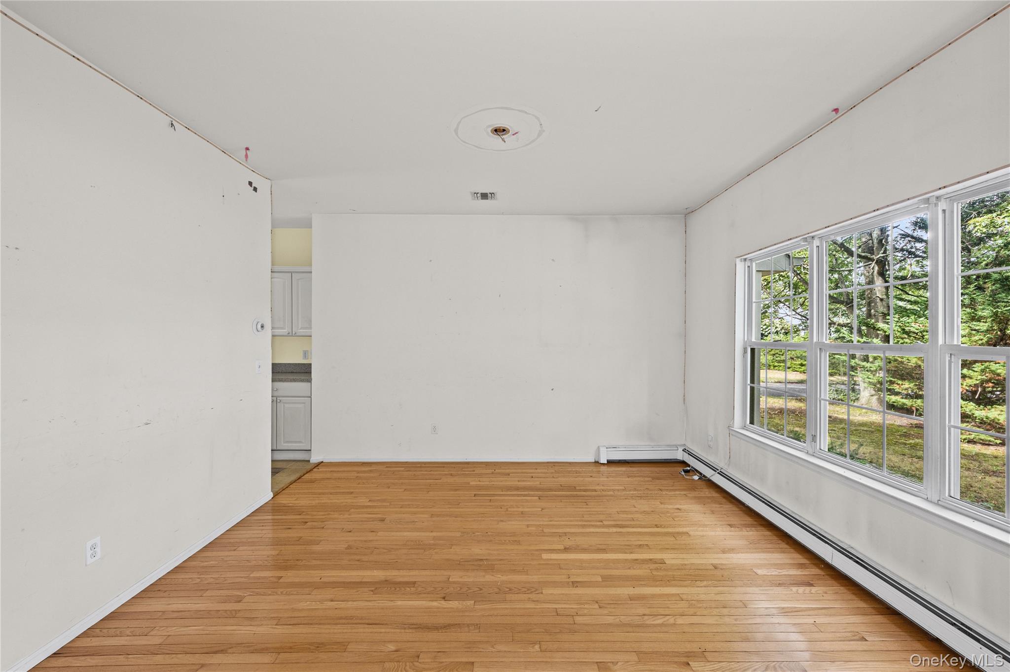Single Family Jacobsen Court  Suffolk County, NY 11763, MLS-1041838-12