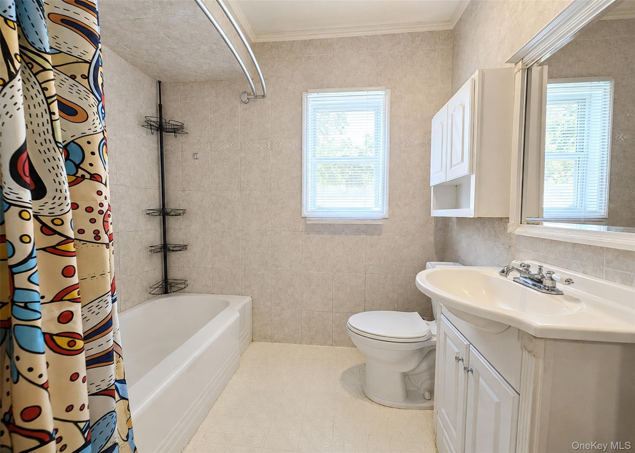 Single Family Woodycrest Drive Suffolk County, NY 11738, MLS-1041843-17