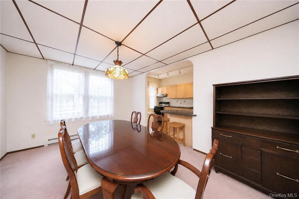 Single Family 68th Street Brooklyn, NY 11219, MLS-1041845-5
