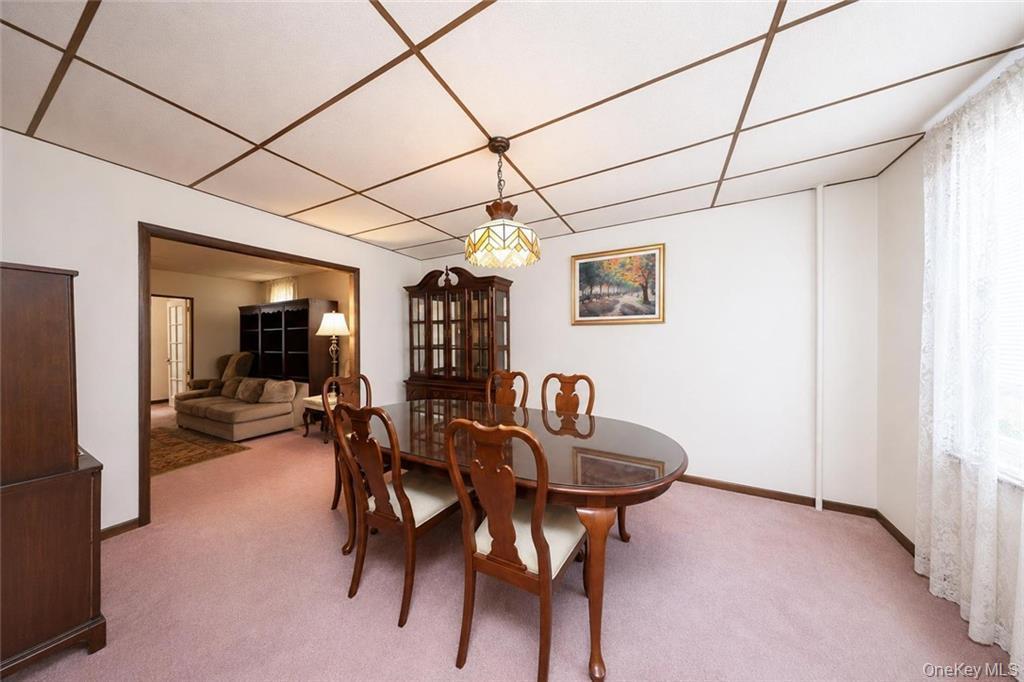 Single Family 68th Street Brooklyn, NY 11219, MLS-1041845-6