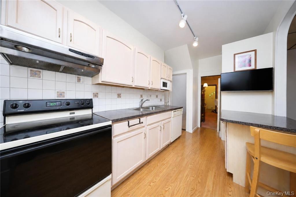 Single Family 68th Street Brooklyn, NY 11219, MLS-1041845-7
