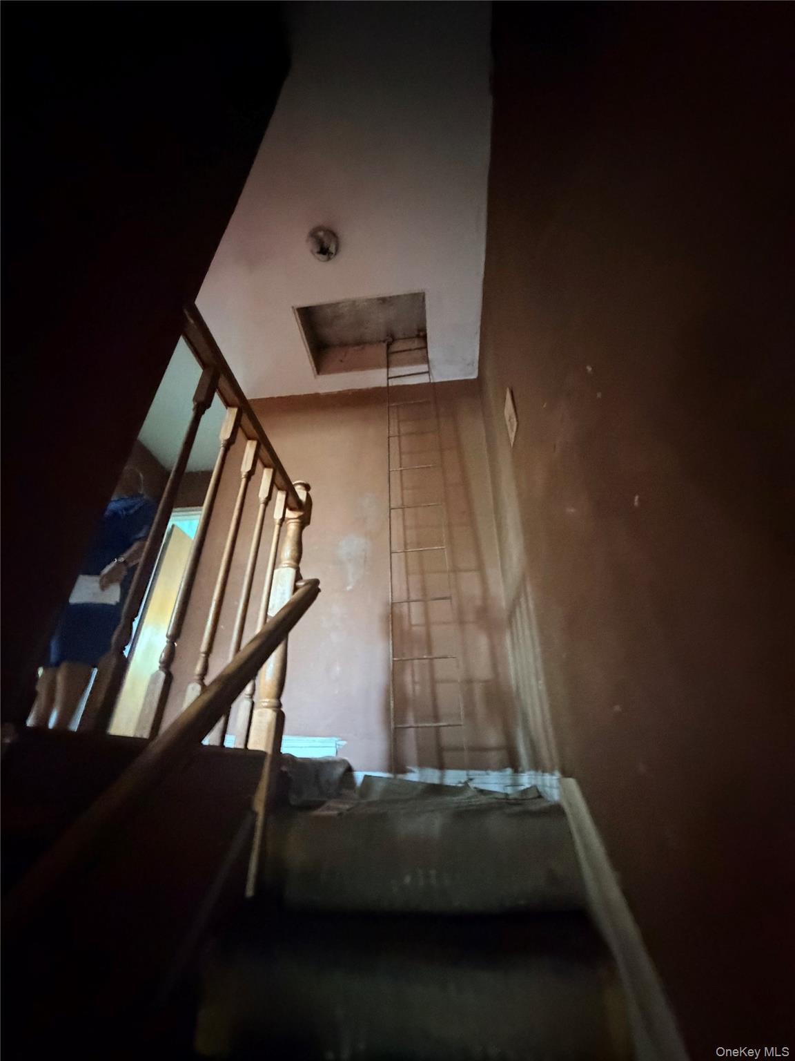 Single Family E Tremont Avenue Bronx, NY 10465, MLS-1041888-10