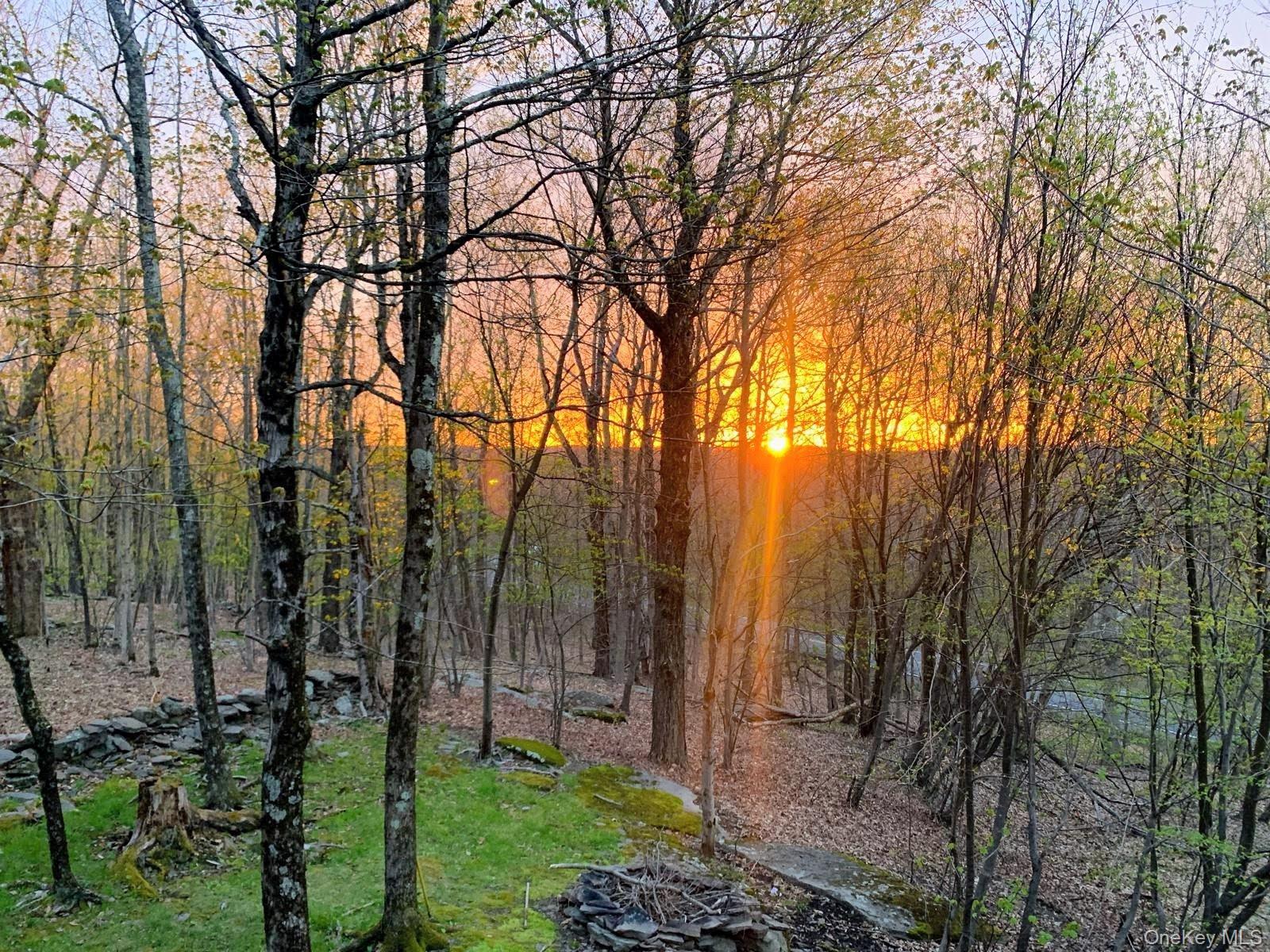 Single Family Fox Run  Sullivan County, NY 12789, MLS-1041901-41