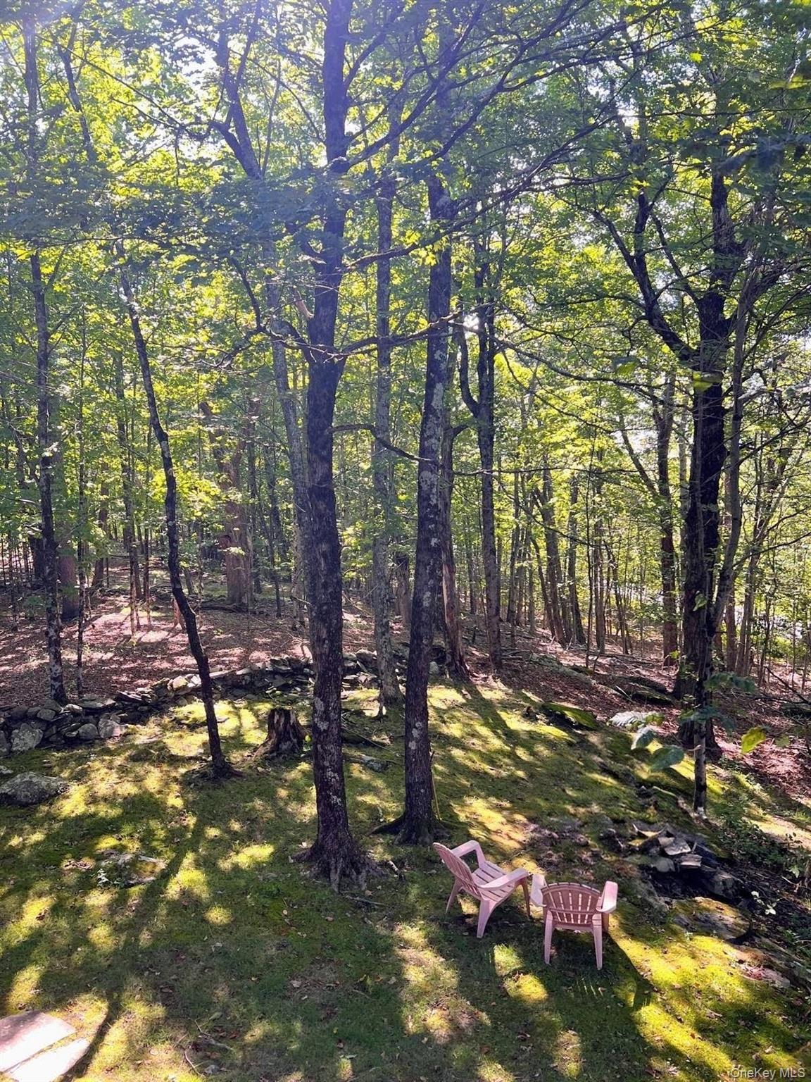 Single Family Fox Run  Sullivan County, NY 12789, MLS-1041901-42