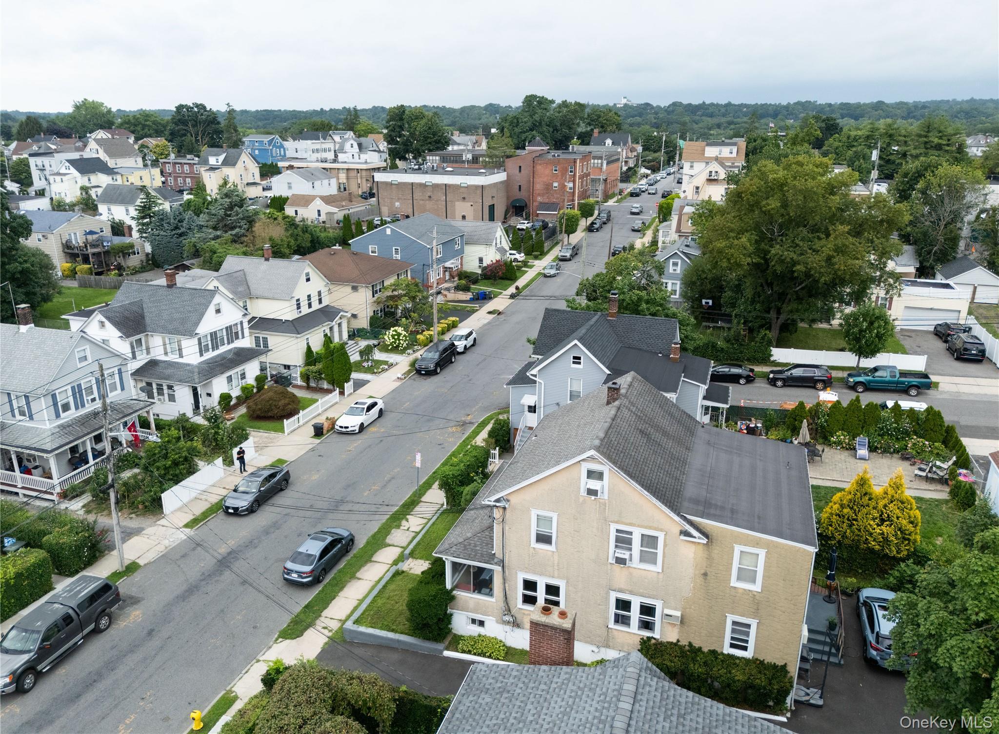 Single Family Franklin Street  Westchester County, NY 10573, MLS-1041974-6