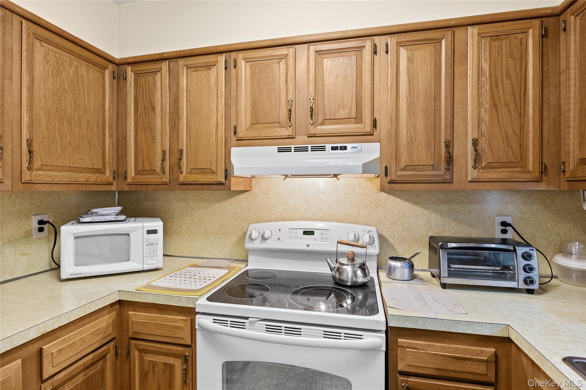 Single Family Great Peconic Bay Boulevard Suffolk County, NY 11948, MLS-1042007-20