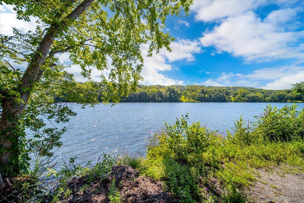 Single Family Lakes Road Orange County, NY 10950, MLS-1042028-37