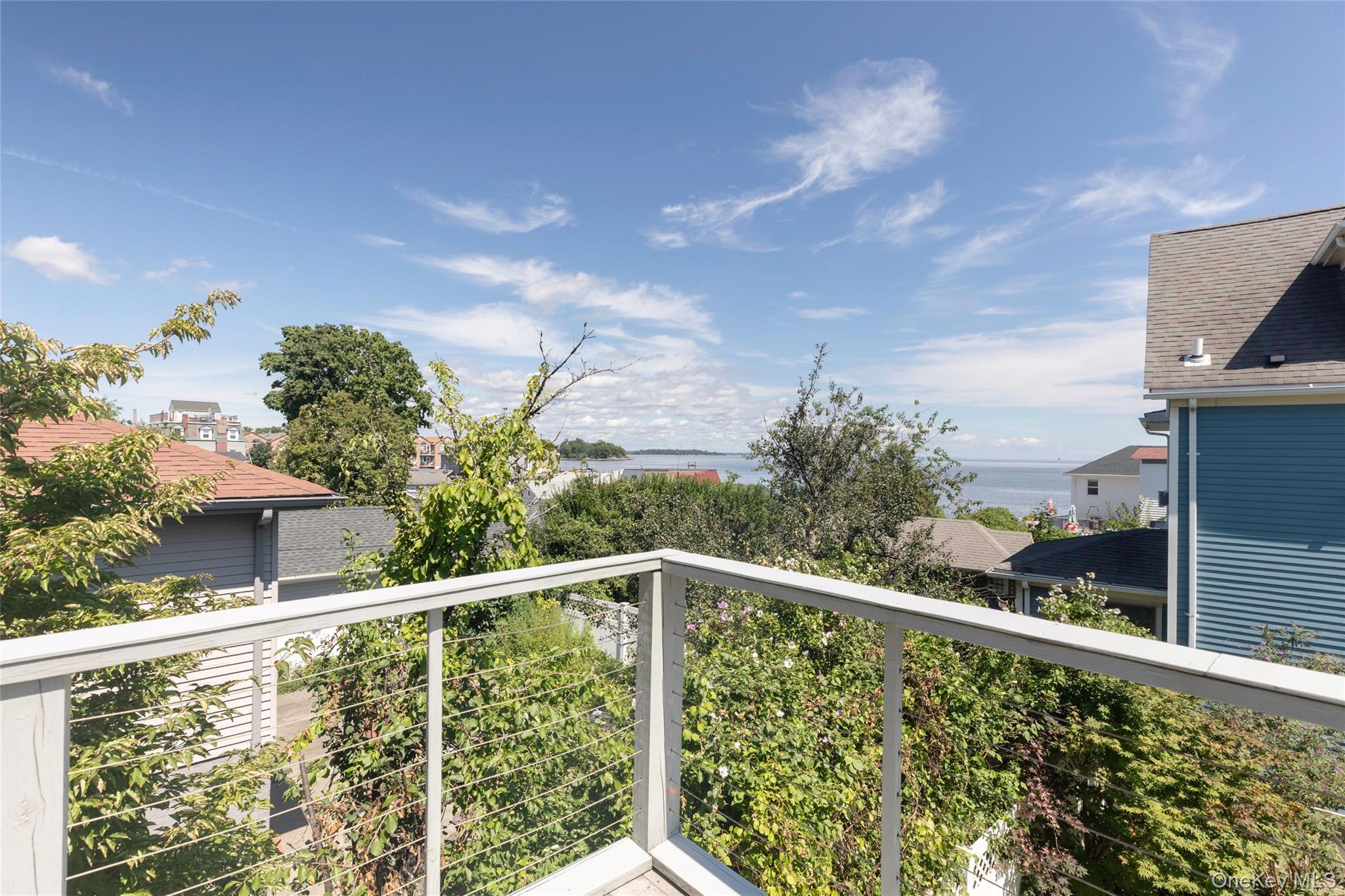 Single Family Minnieford Avenue  Bronx, NY 10464, MLS-1042030-16