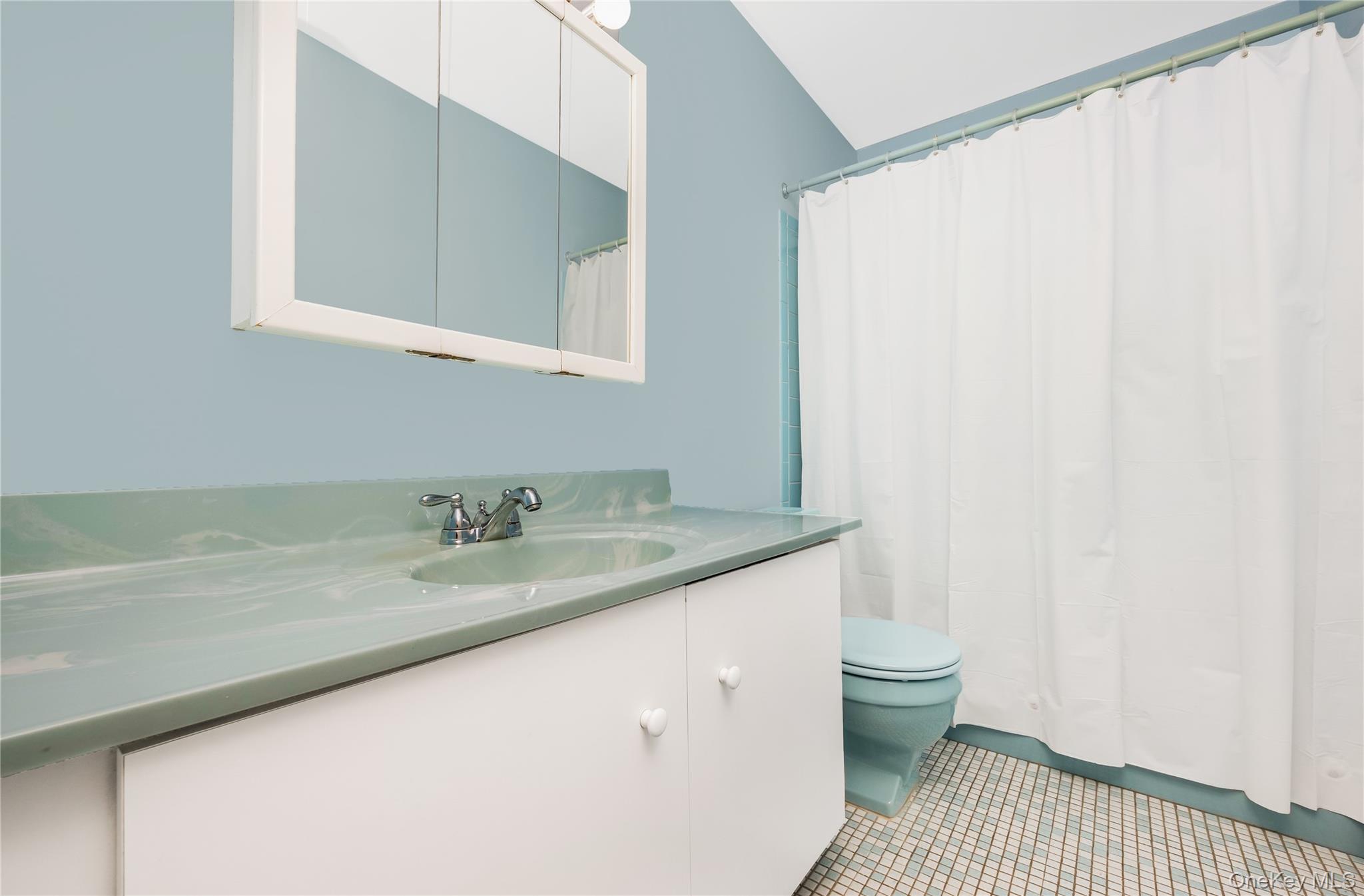 Single Family Melrose Lane  Suffolk County, NY 11725, MLS-1042052-28
