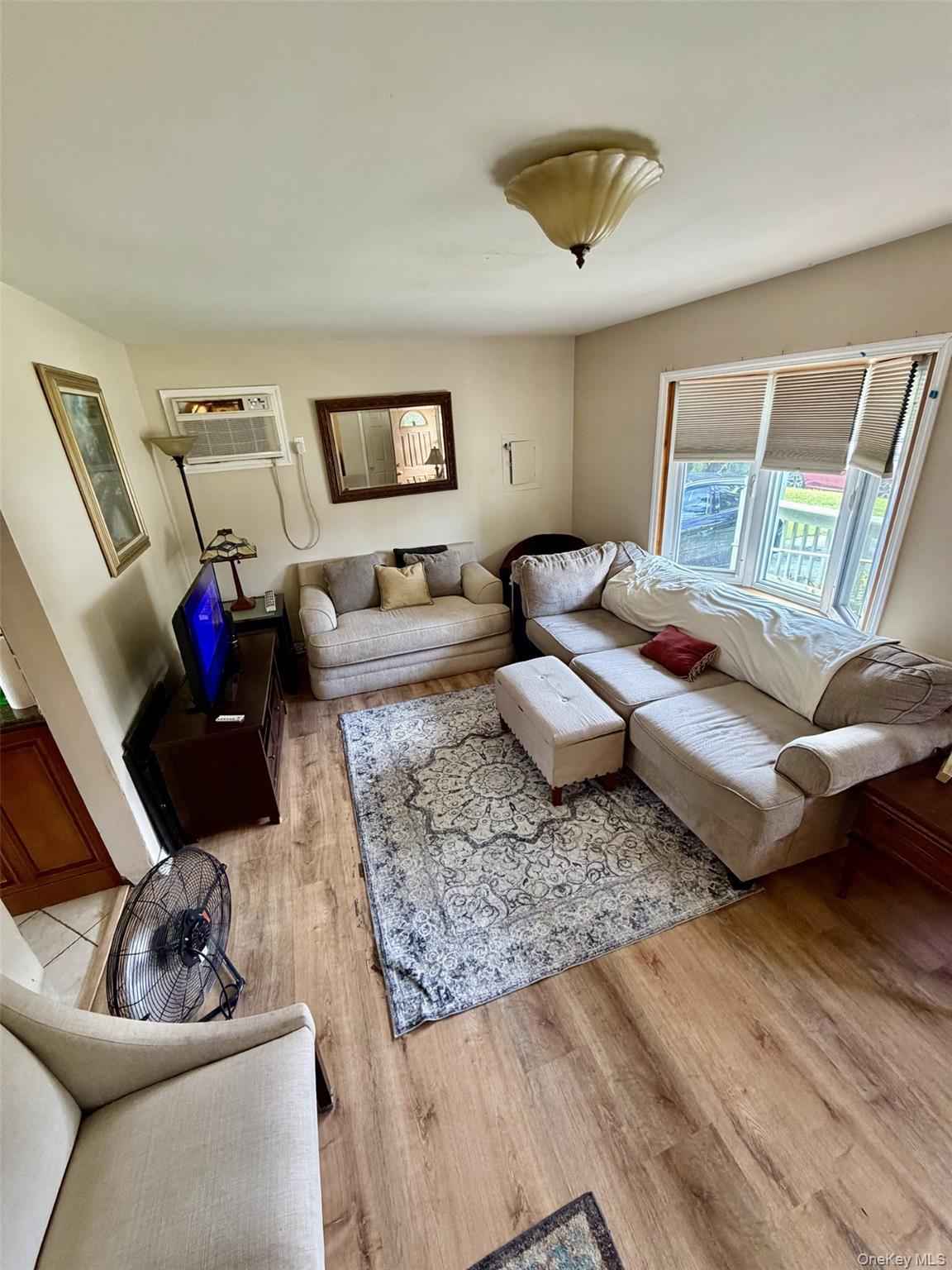 Single Family Bowling Green Drive Nassau County, NY 11590, MLS-1042066-6