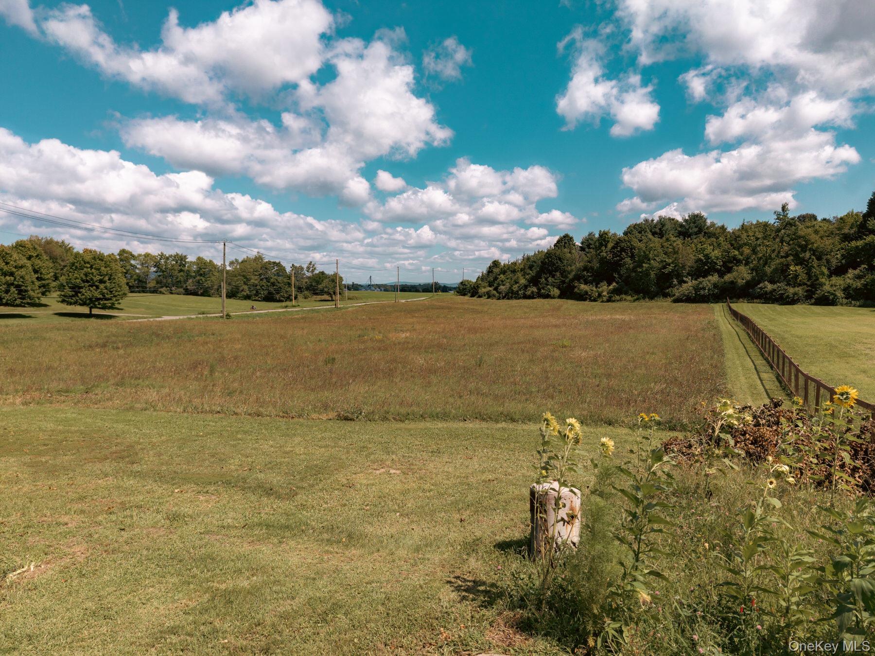 Single Family County Route 7a Columbia County, NY 12516, MLS-1042091-4