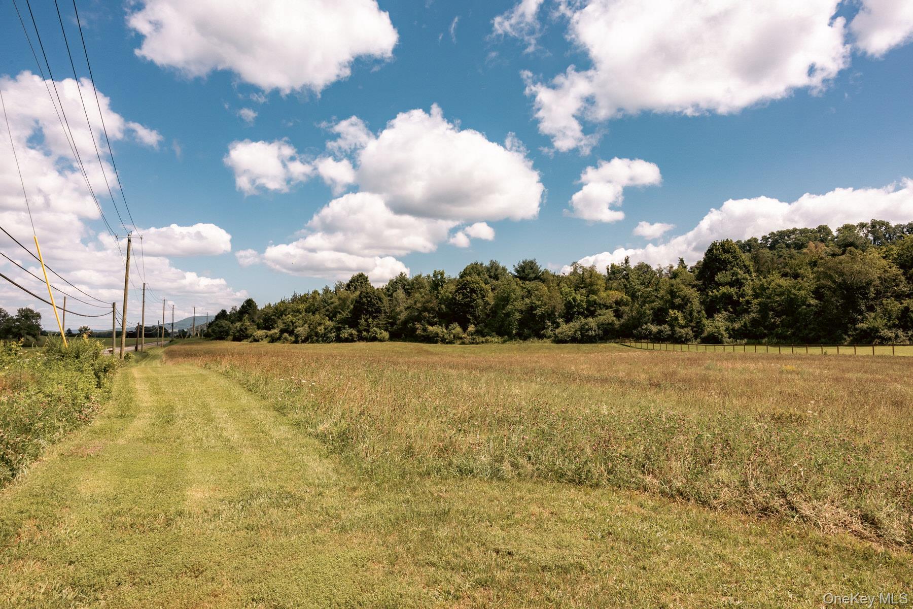 Single Family County Route 7a Columbia County, NY 12516, MLS-1042091-42