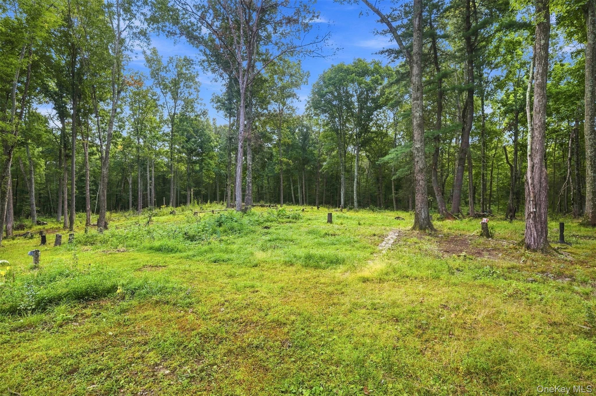 Single Family Jacob Rumph Court Orange County, NY 12549, MLS-1042126-37
