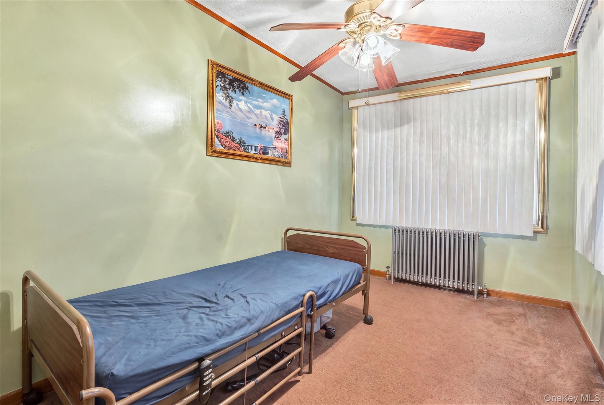 Single Family 142nd Avenue  Queens, NY 11422, MLS-1042186-7