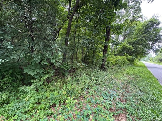 Single Family N Drury Lane Orange County, NY 12550, MLS-1042192-10