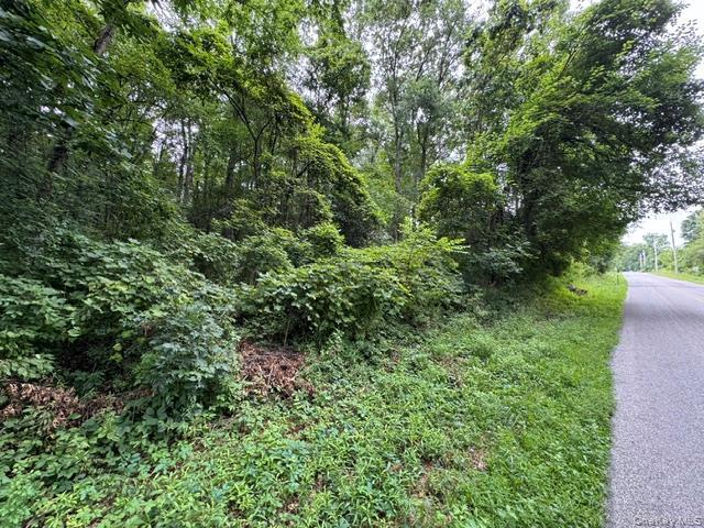 Single Family N Drury Lane Orange County, NY 12550, MLS-1042192-11