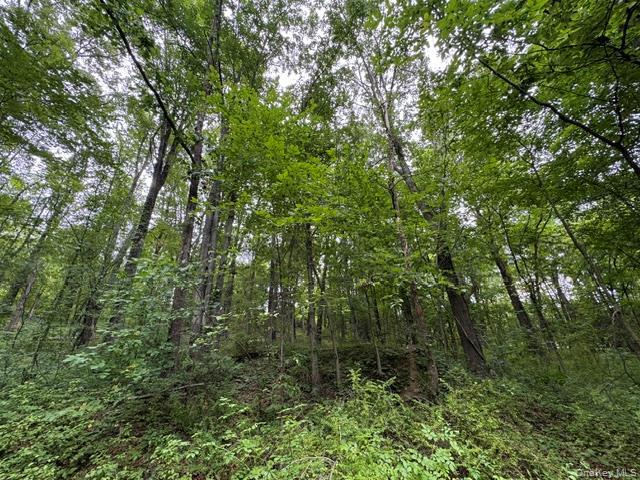 Single Family N Drury Lane Orange County, NY 12550, MLS-1042192-7