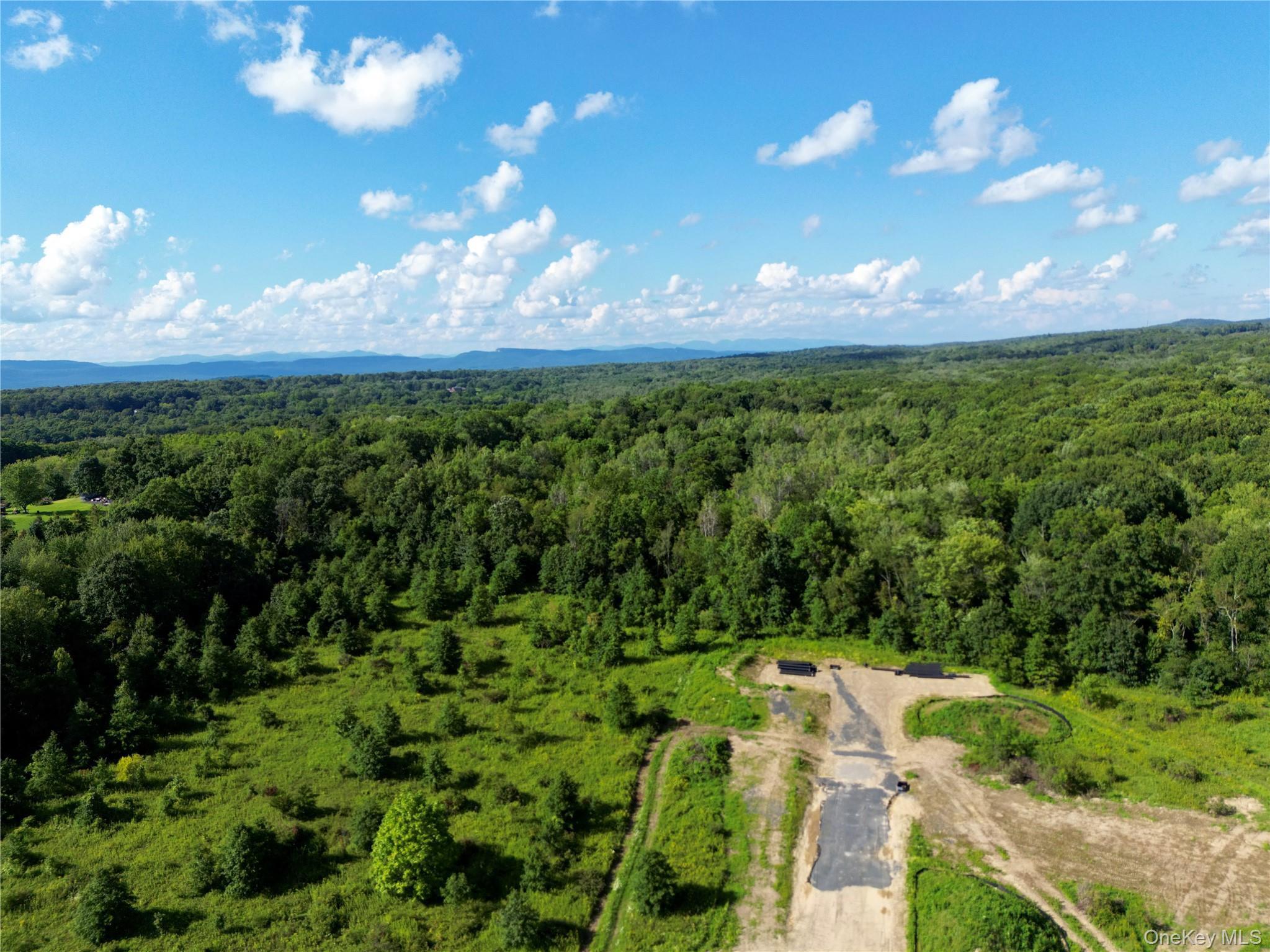 Single Family Lindsey Court Ulster County, NY 12568, MLS-1042207-10