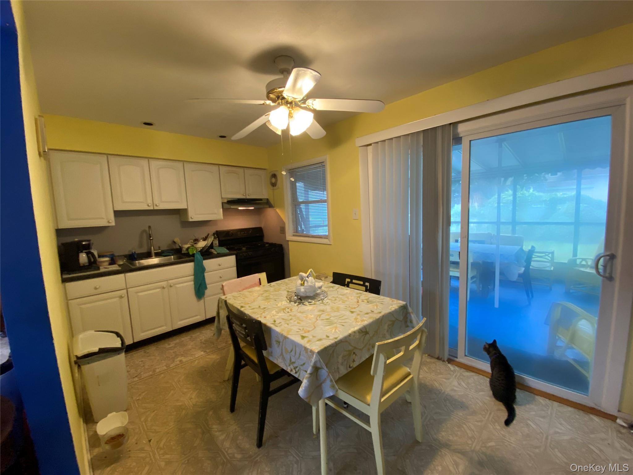 Single Family Stellenwerf Avenue Suffolk County, NY 11752, MLS-1042229-13