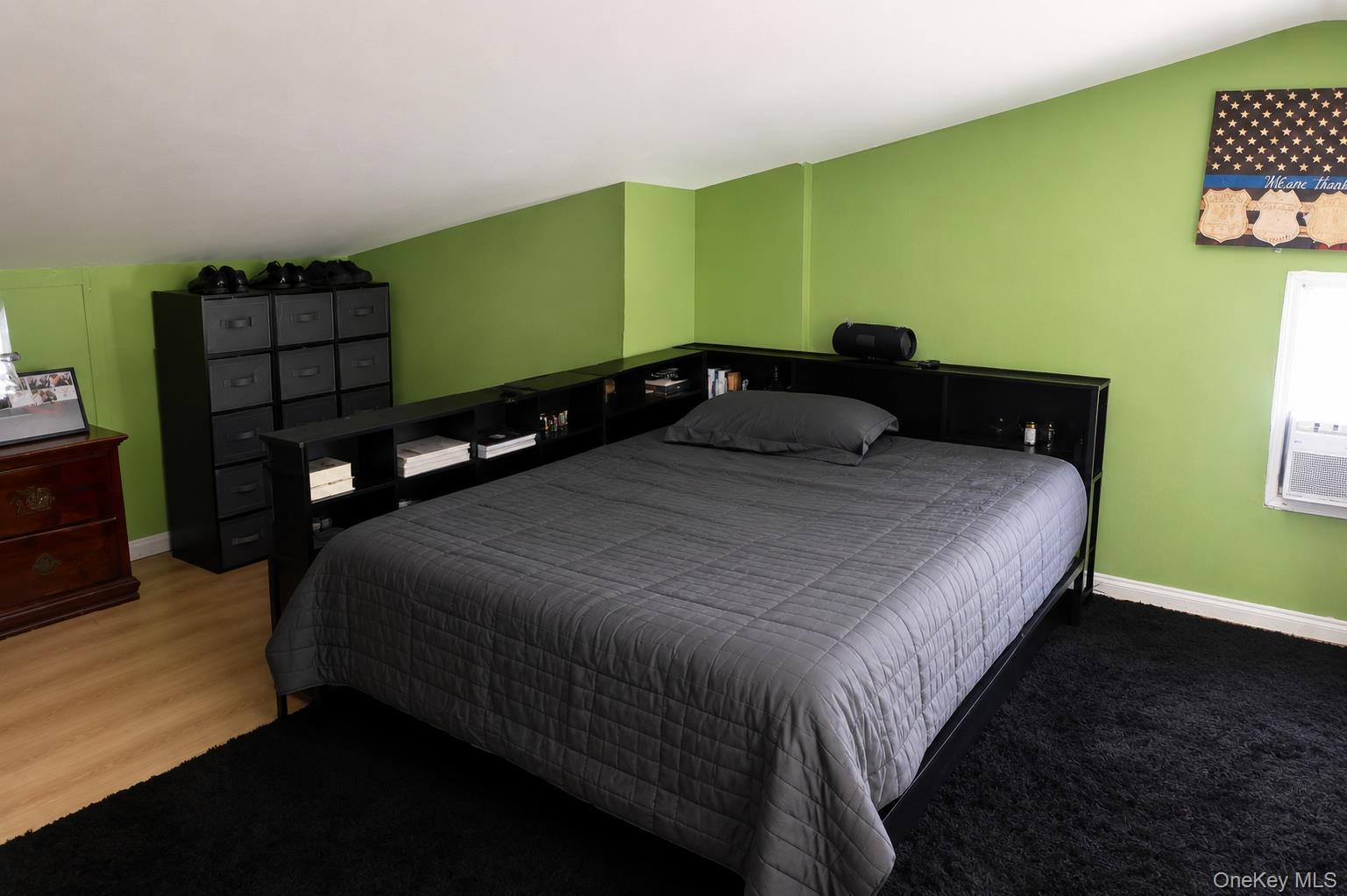 Single Family New Jersey Avenue  Brooklyn, NY 11207, MLS-1042268-17