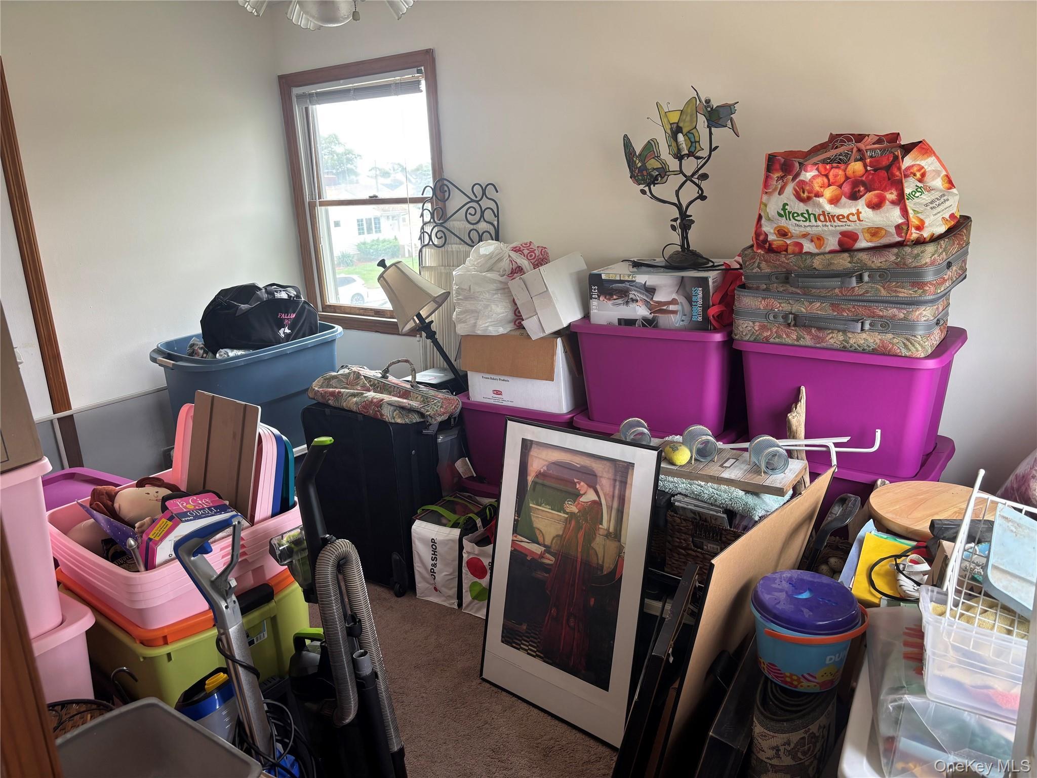 Single Family Van Buren Street  Nassau County, NY 11520, MLS-1042270-12