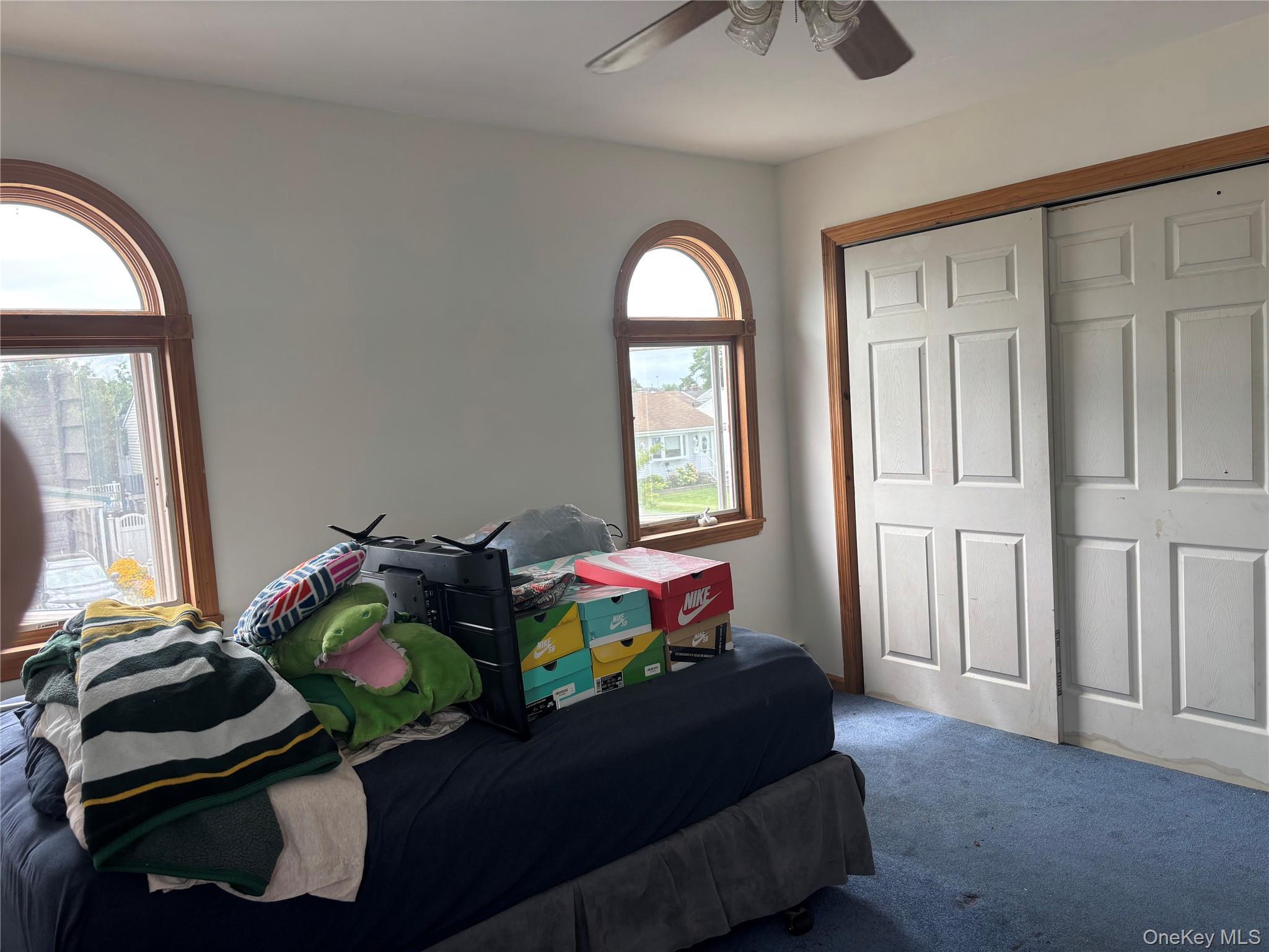 Single Family Van Buren Street  Nassau County, NY 11520, MLS-1042270-17