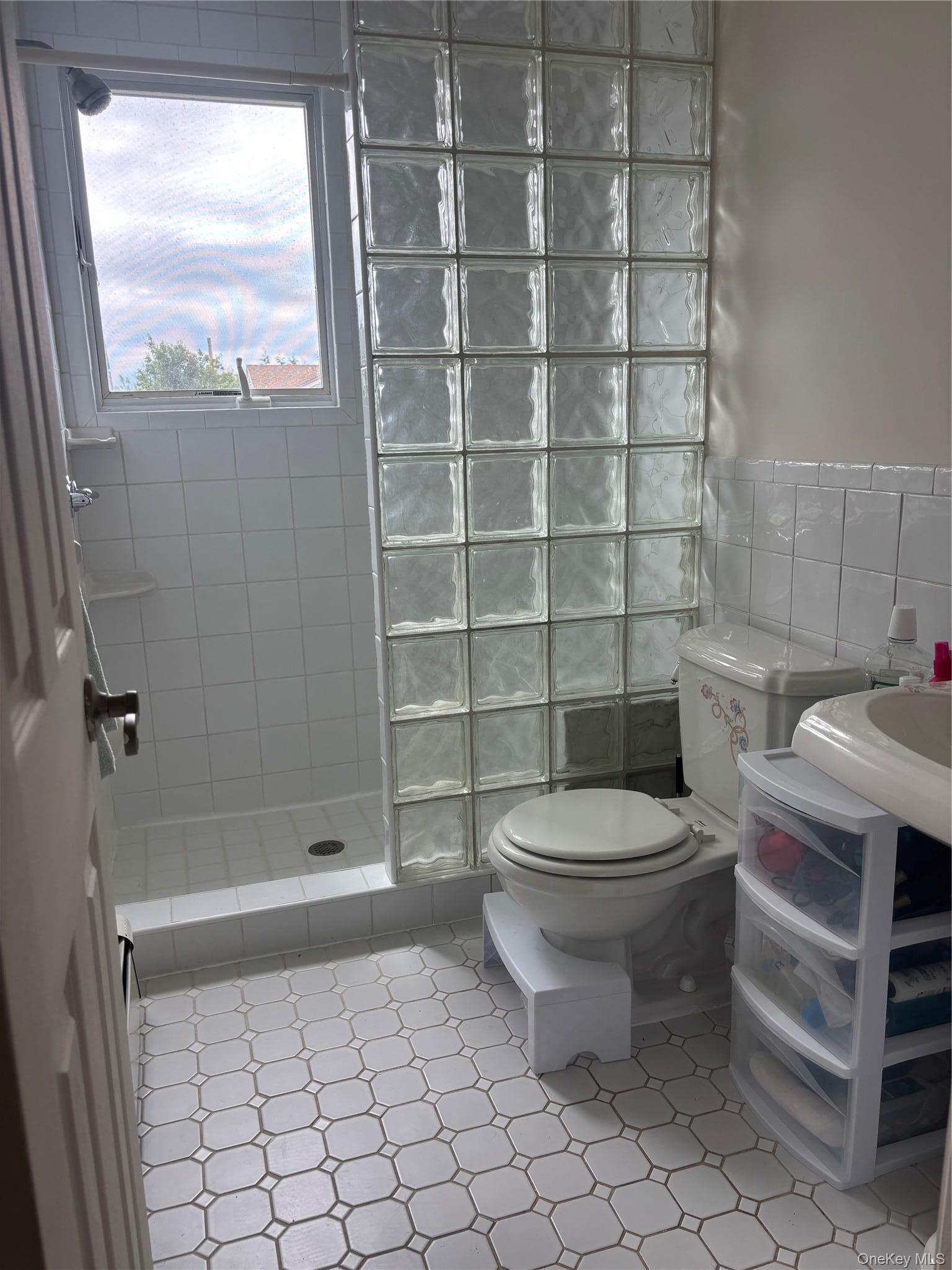 Single Family Van Buren Street  Nassau County, NY 11520, MLS-1042270-20