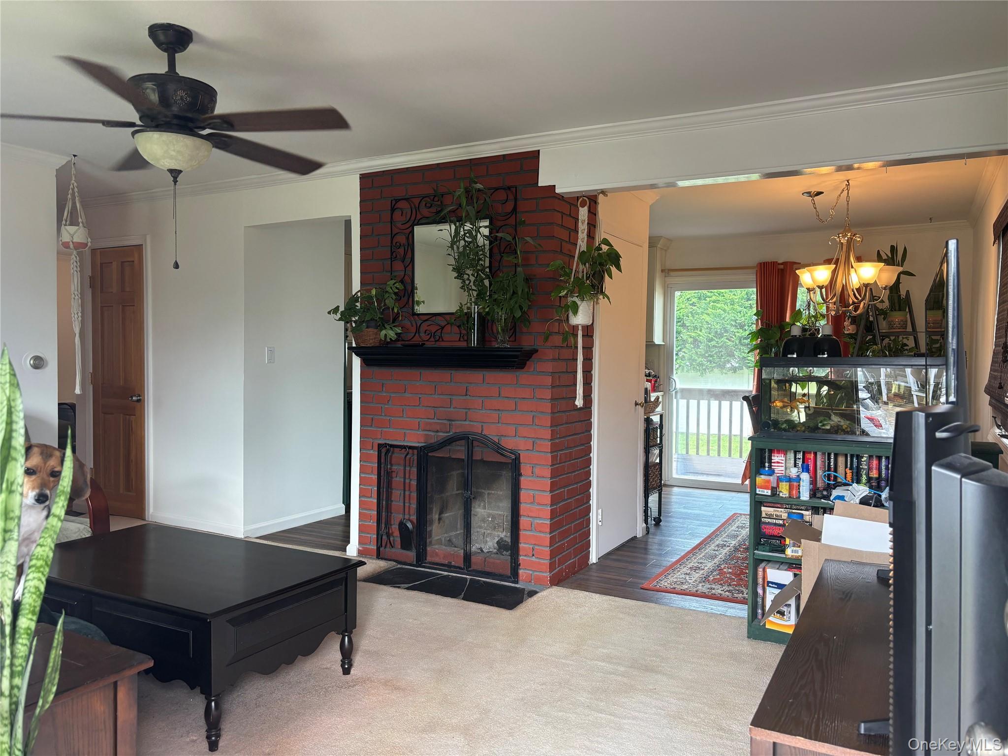 Single Family Van Buren Street  Nassau County, NY 11520, MLS-1042270-3