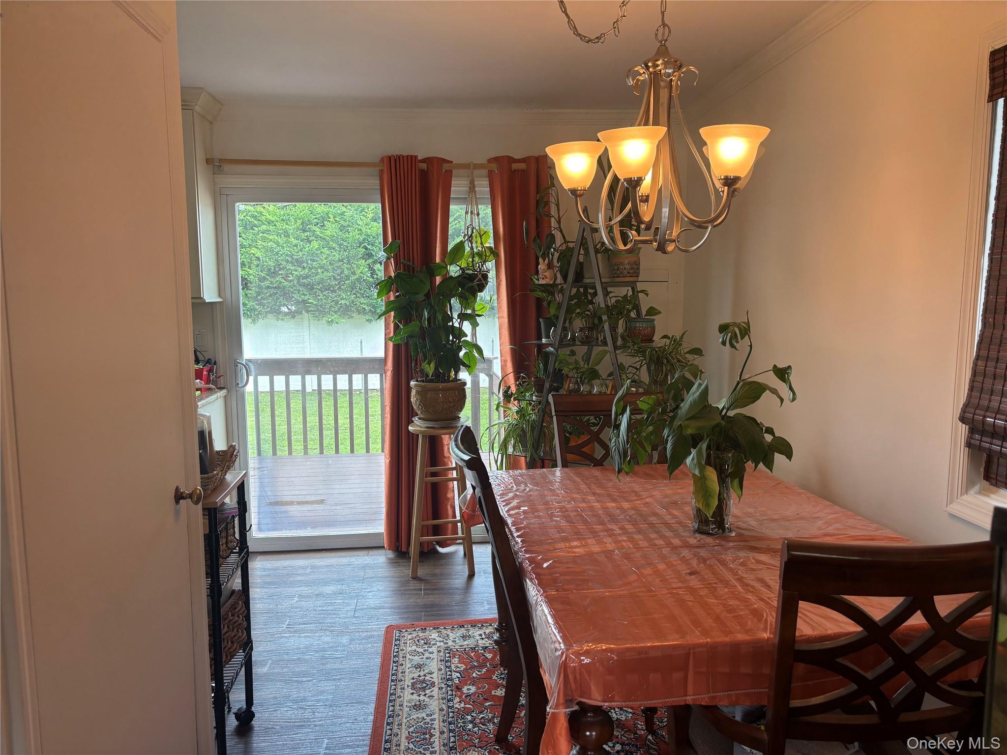 Single Family Van Buren Street  Nassau County, NY 11520, MLS-1042270-5