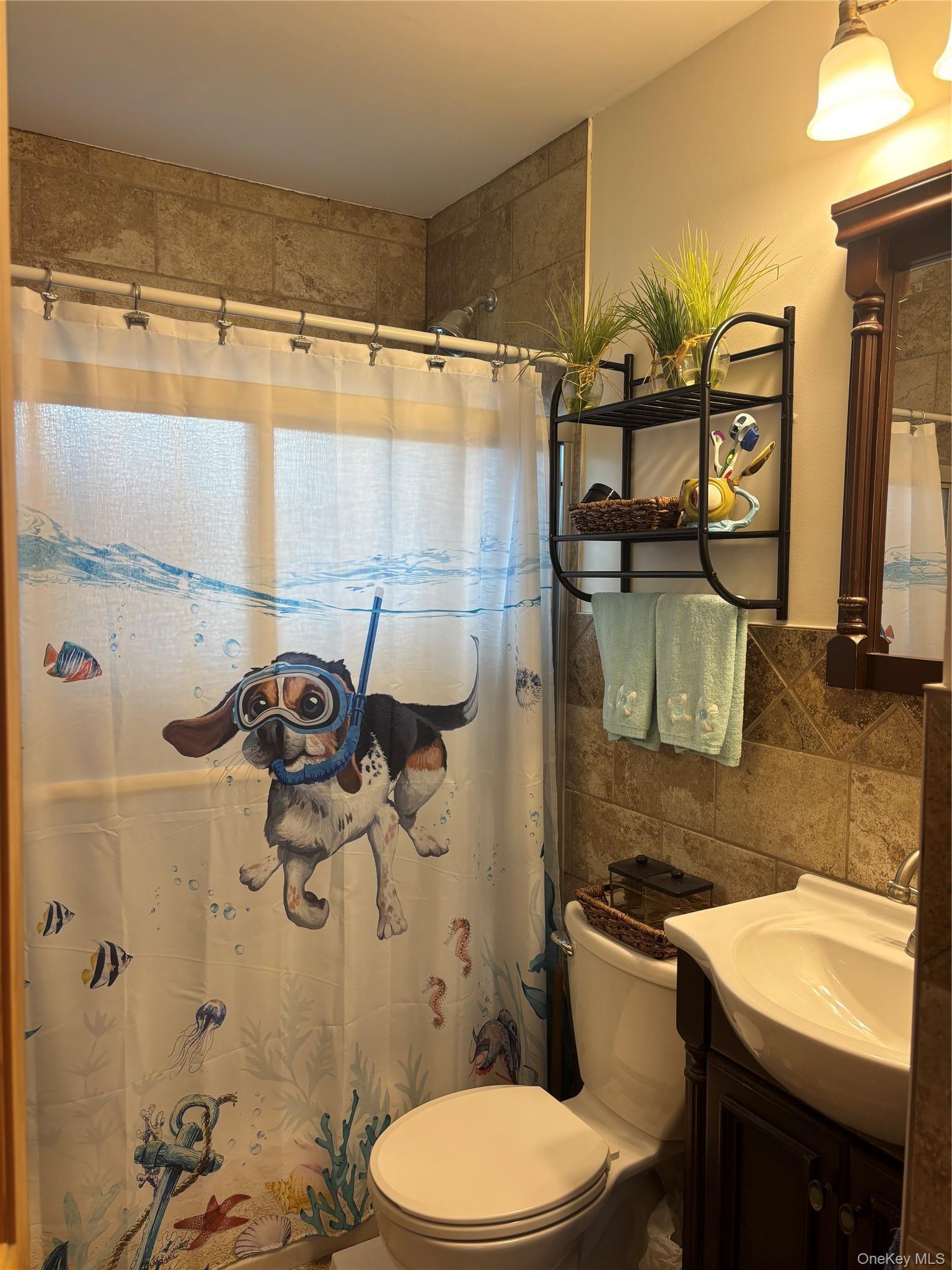 Single Family Van Buren Street  Nassau County, NY 11520, MLS-1042270-8