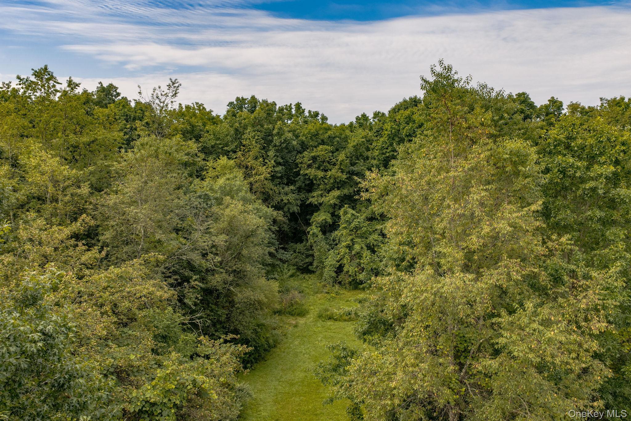 Single Family Woods Road  Orange County, NY 12771, MLS-1042308-45