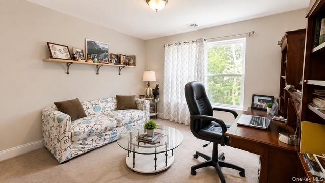 Single Family Mill Drive  Suffolk County, NY 11951, MLS-1042311-18