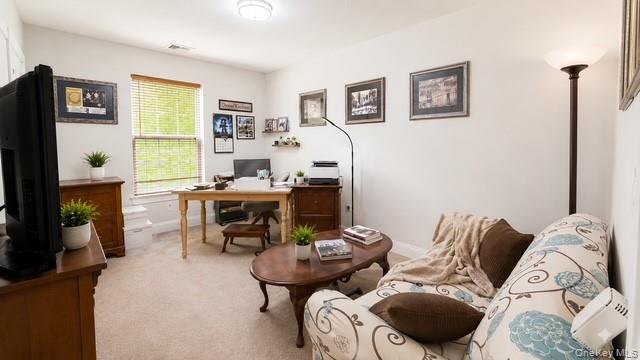 Single Family Mill Drive  Suffolk County, NY 11951, MLS-1042311-19