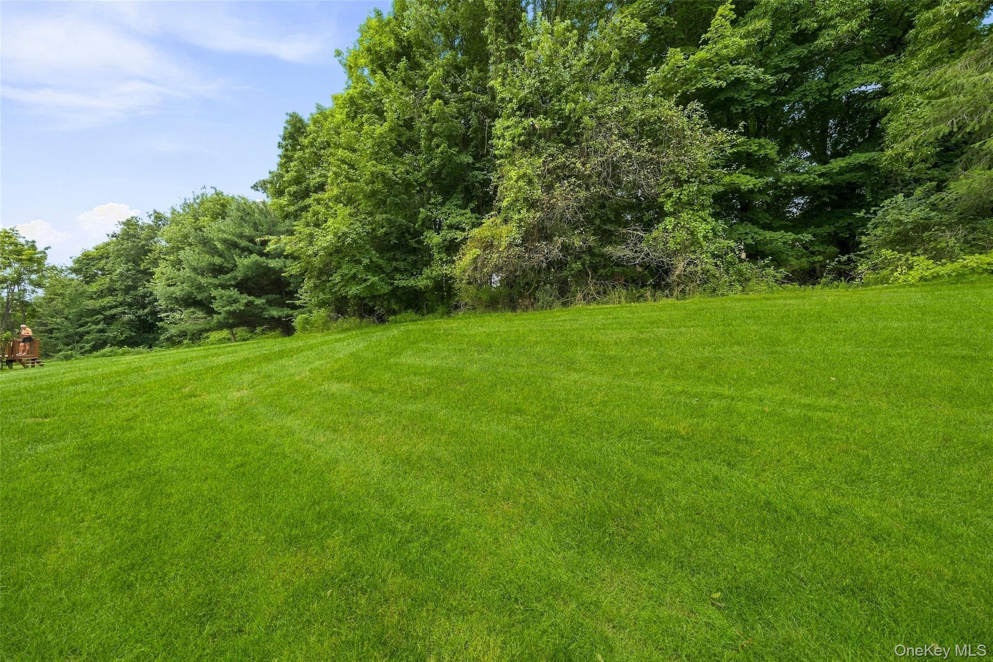 Single Family Rockridge Drive  Orange County, NY 10930, MLS-1042318-44