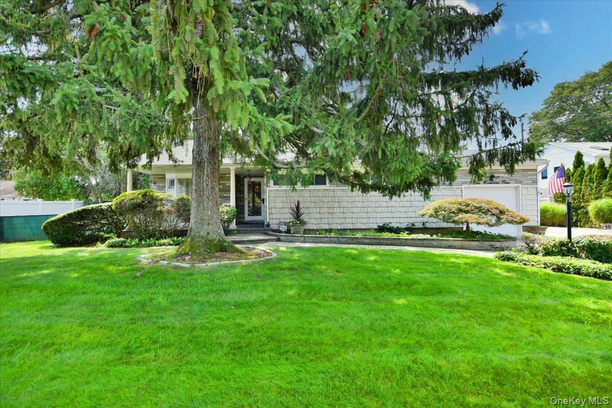 Single Family Franklin Street Nassau County, NY 11762, MLS-1042332-4